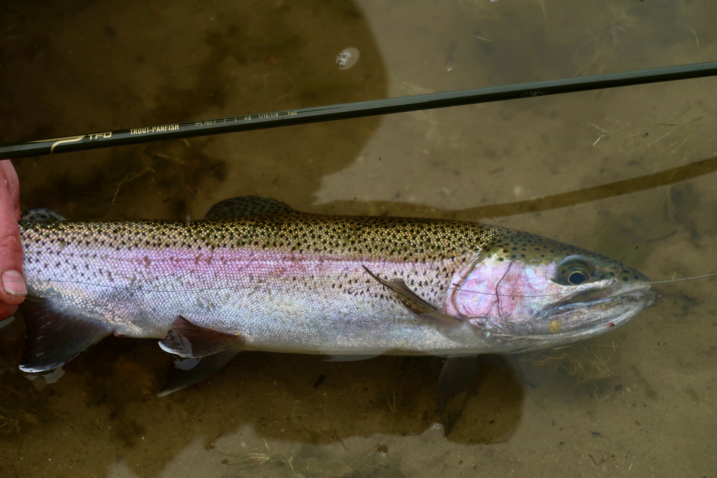 Rhode Island Fishing Report- February 15, 2024 - Vimarsana News