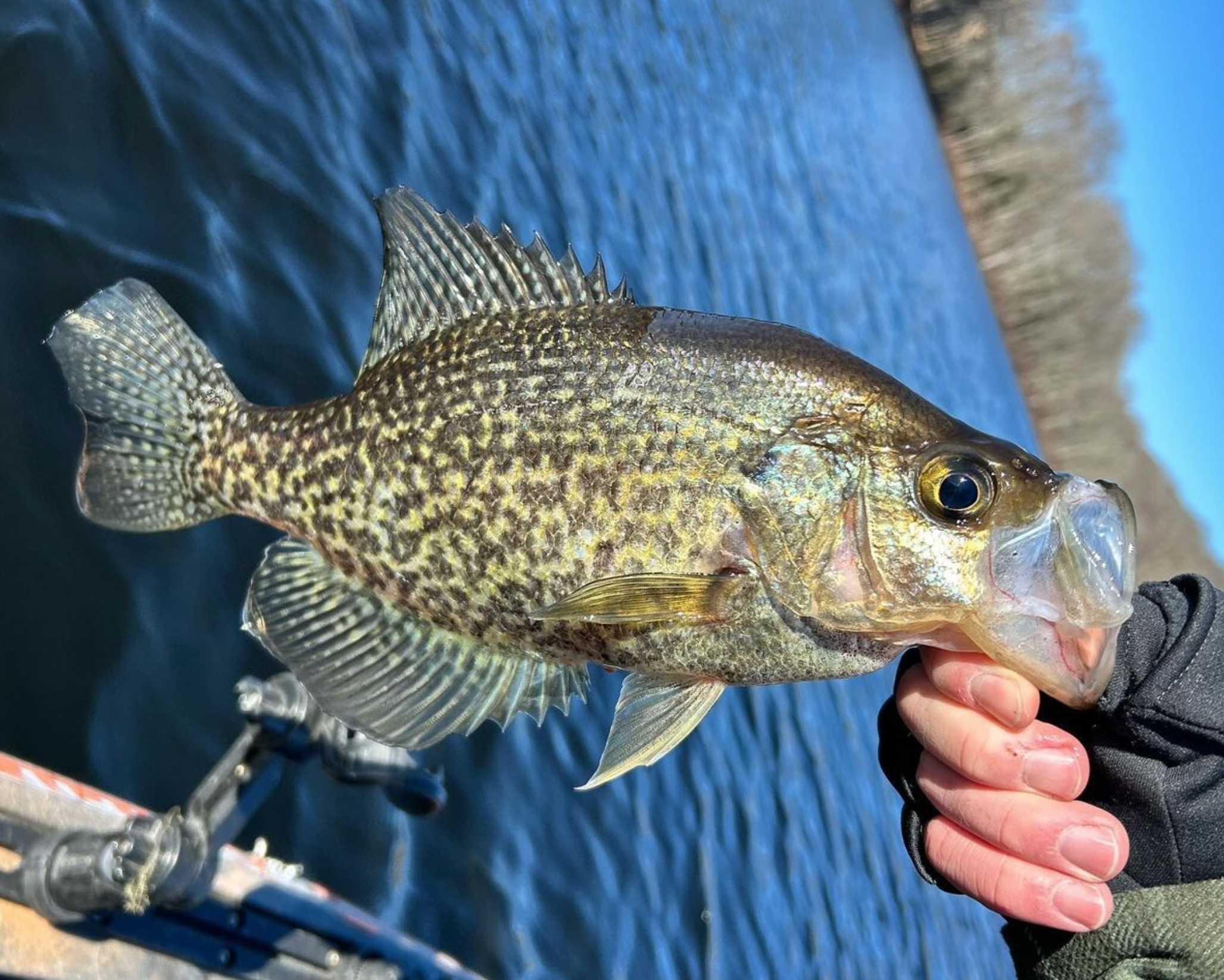 Connecticut Fishing Report- February 15, 2024 - Vimarsana News
