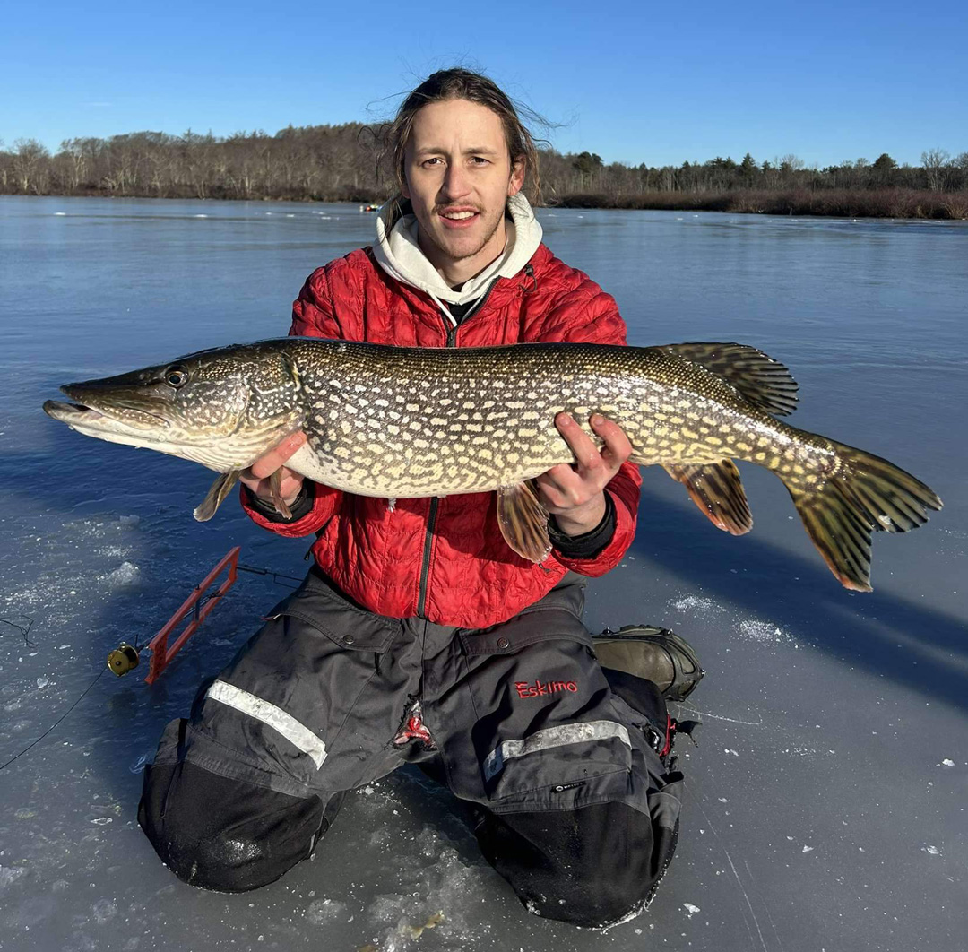Massachusetts Fishing Report- February 8, 2024 - Vimarsana News